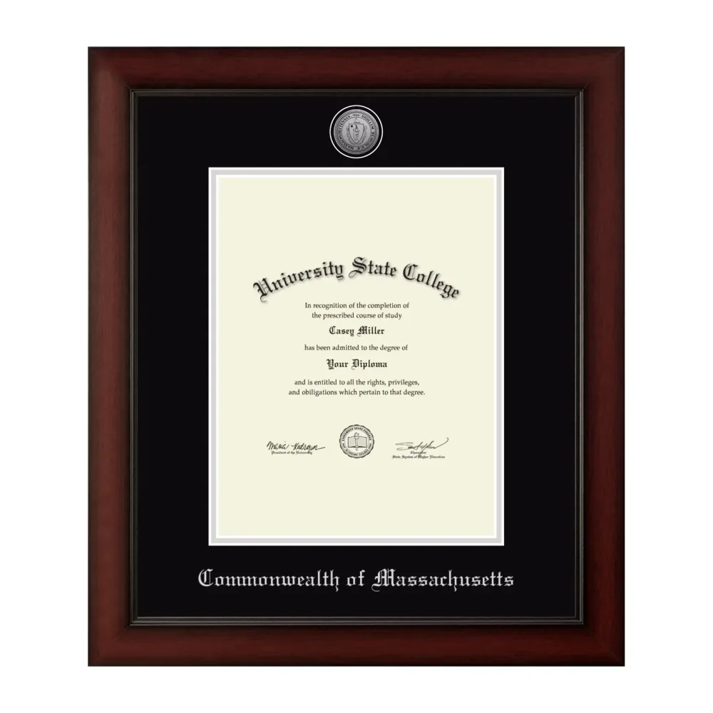 Frame 8.5w silver black