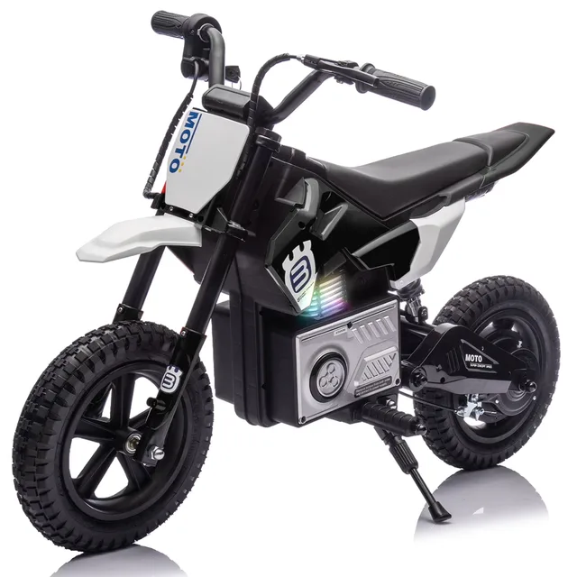 Electric Dirt 24v 200w blue