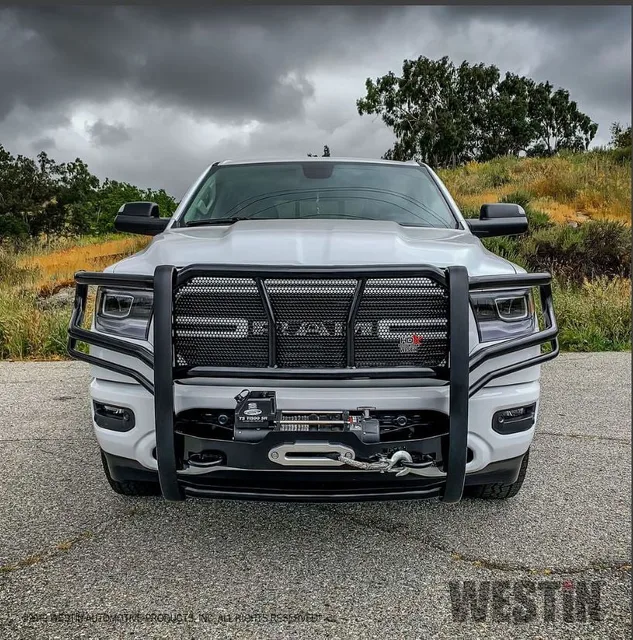 Grille Guard black 2" 8"