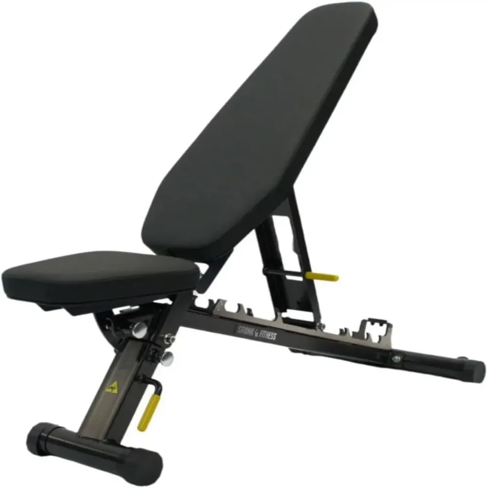 Adjustable Weight folding 750lb