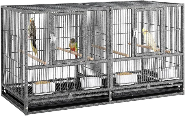 Birds 38 inches 18 inches 21 inches