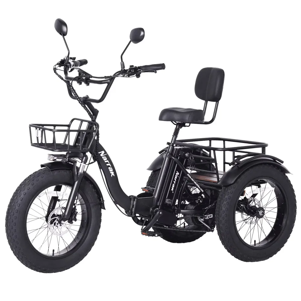 Fat Tire 750w 1350w 20"
