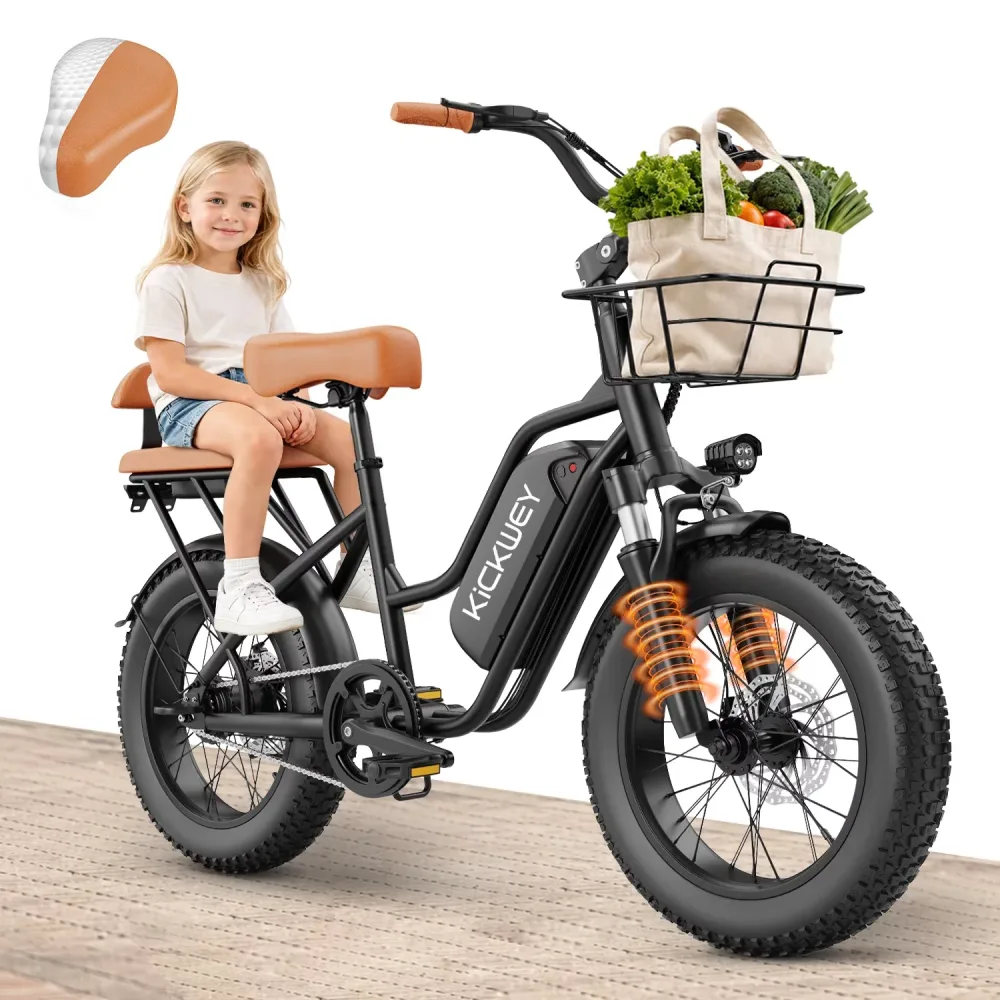Electric Bike 750w 20' 48v