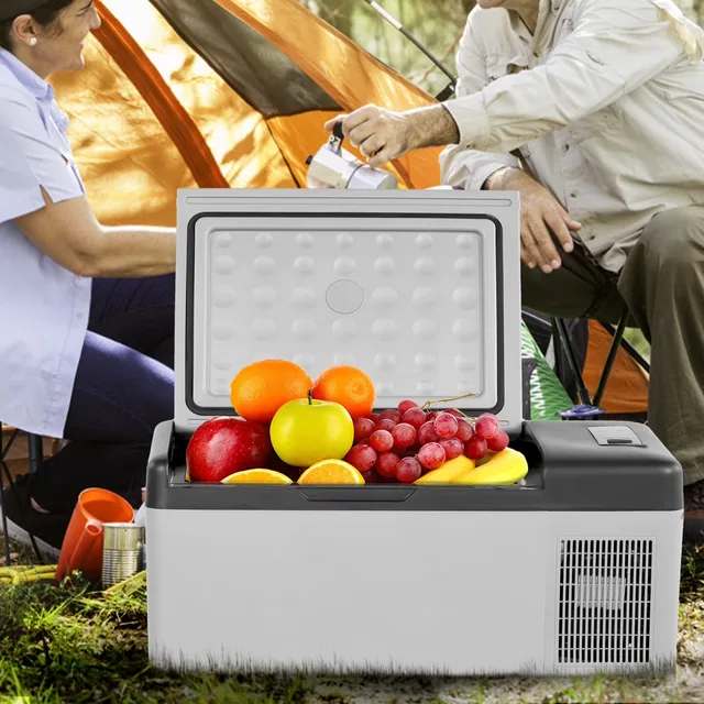 Car Refrigerator 24v 110-240v 45 w