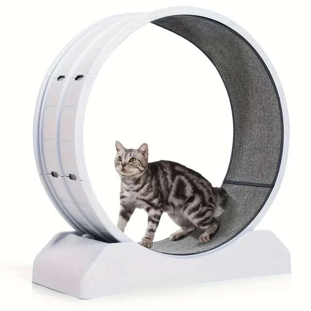 Exercise Wheel 33" gray
