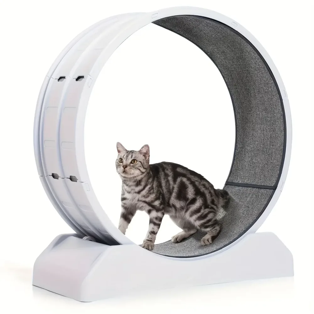 Exercise Wheel 33" gray