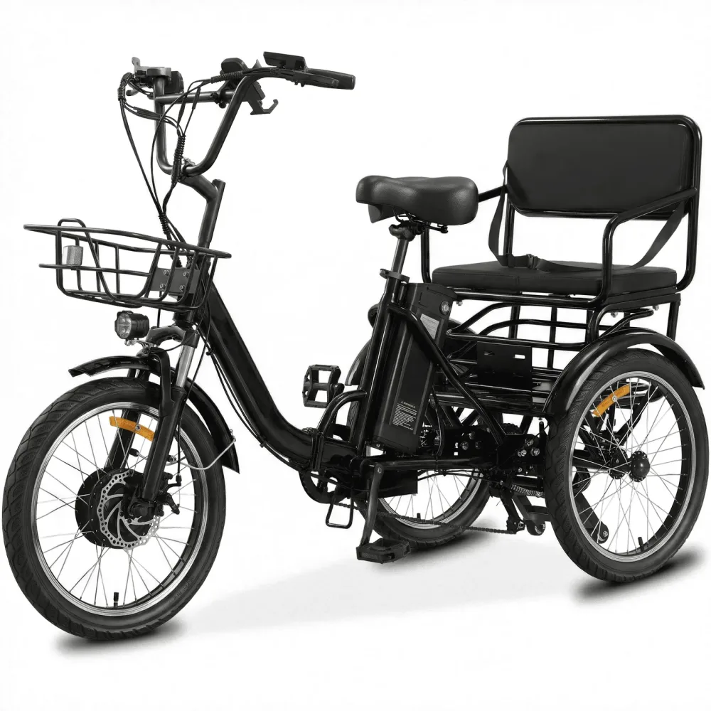 Electric Bike 450w 48v folding