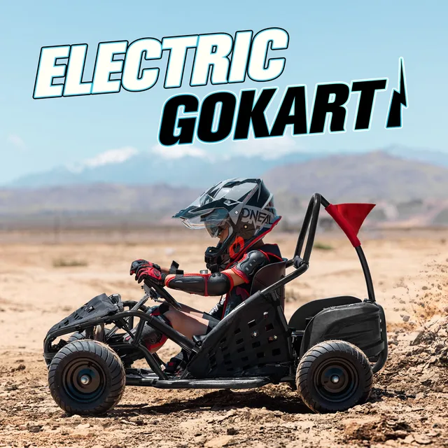 Motor Mph 48v 1000w 13"
