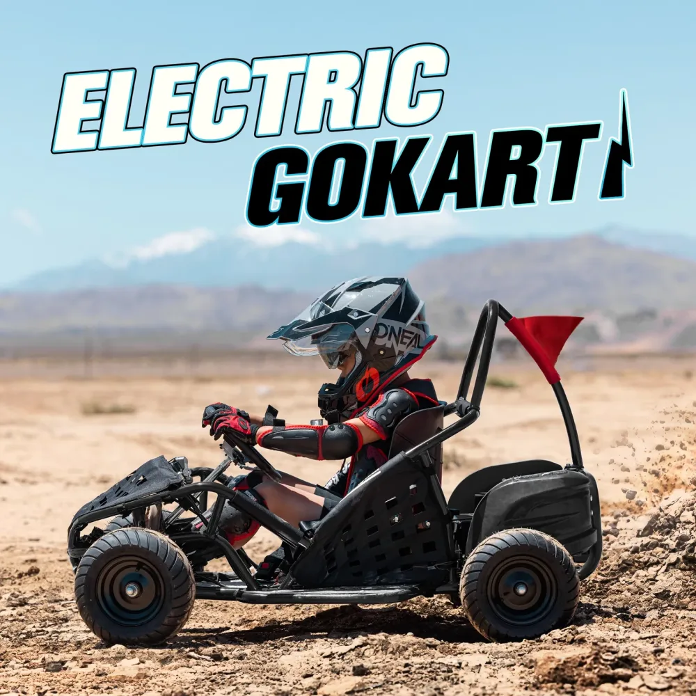 Motor Mph 48v 1000w 13"