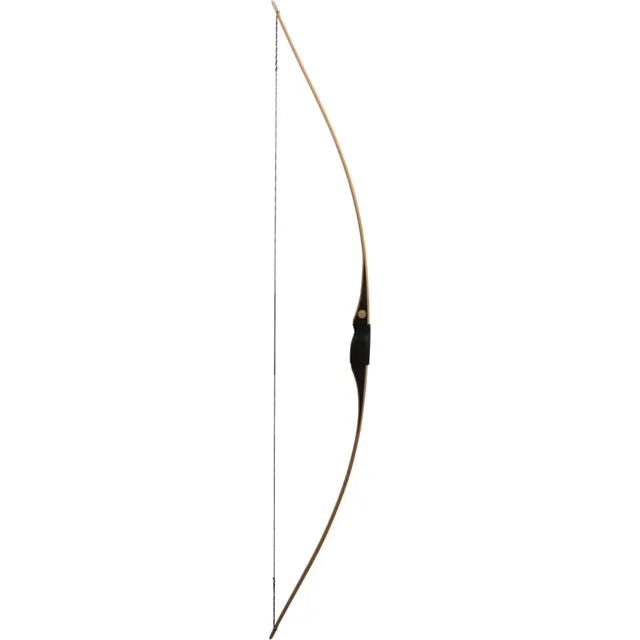 Bows & Arrows 55 lb black
