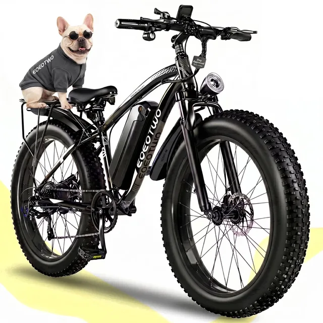 Electric Bike 48v 26' led