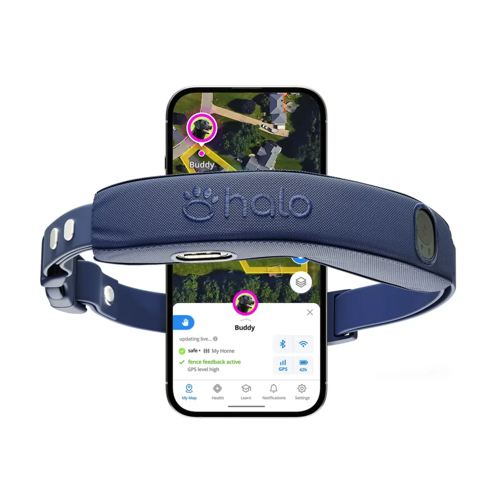 Collar wireless blue 2 feet