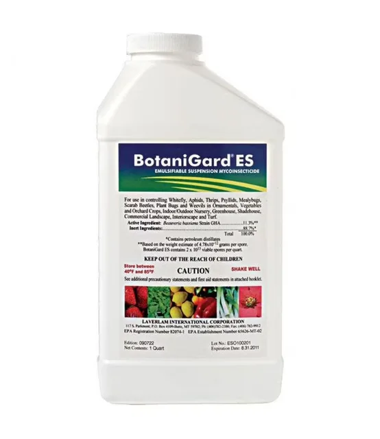 Insecticide