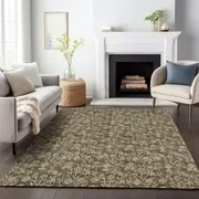 Rug 10' 14' brown