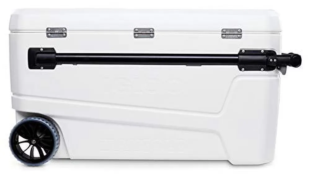 Coolers & Hydration white 40 in 19 in