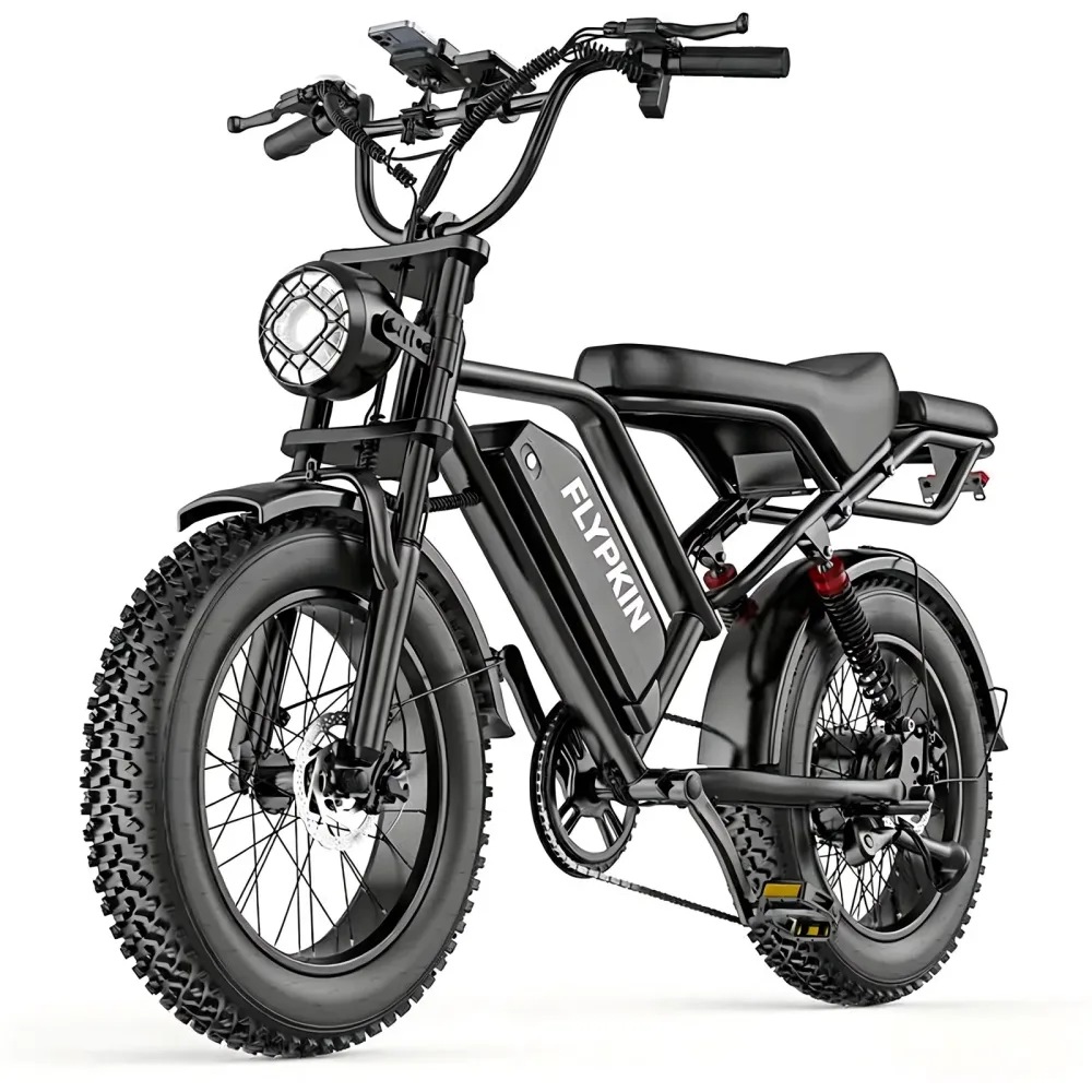 Electric Mountain 750w 48v 1500w