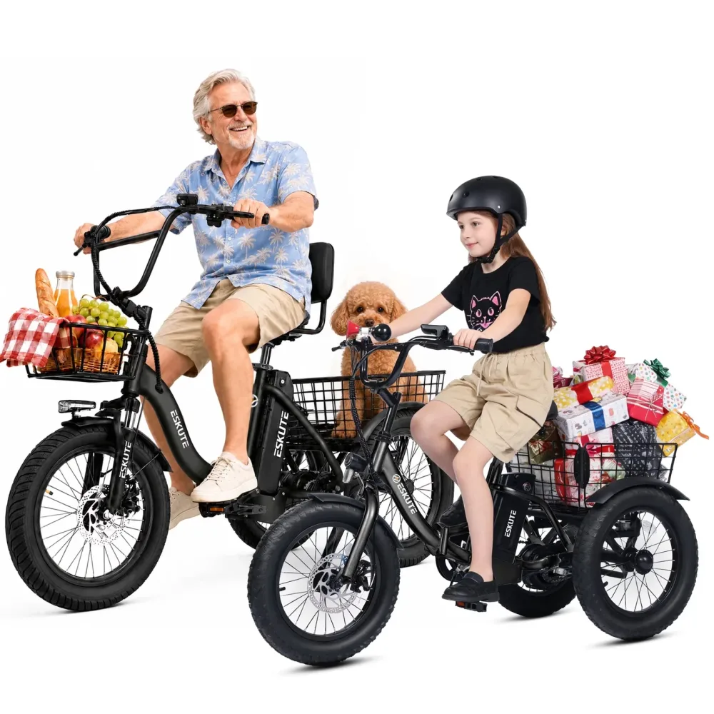 Electric 750w 500w folding