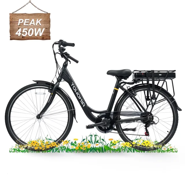 Electric Bike 28" 250w 36v