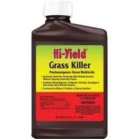 Killer