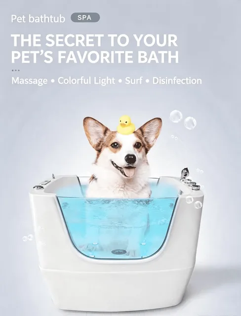Light led waterproof