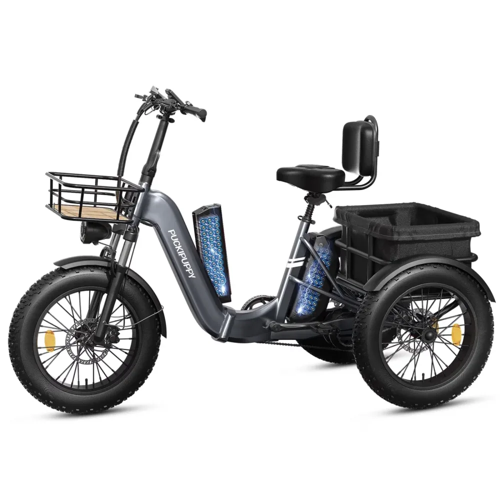 Electric Tricycle 20" 960w 48v