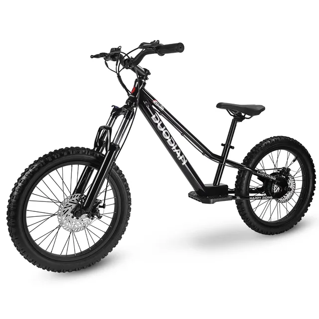 Electric Bike 350w 20" adjustable