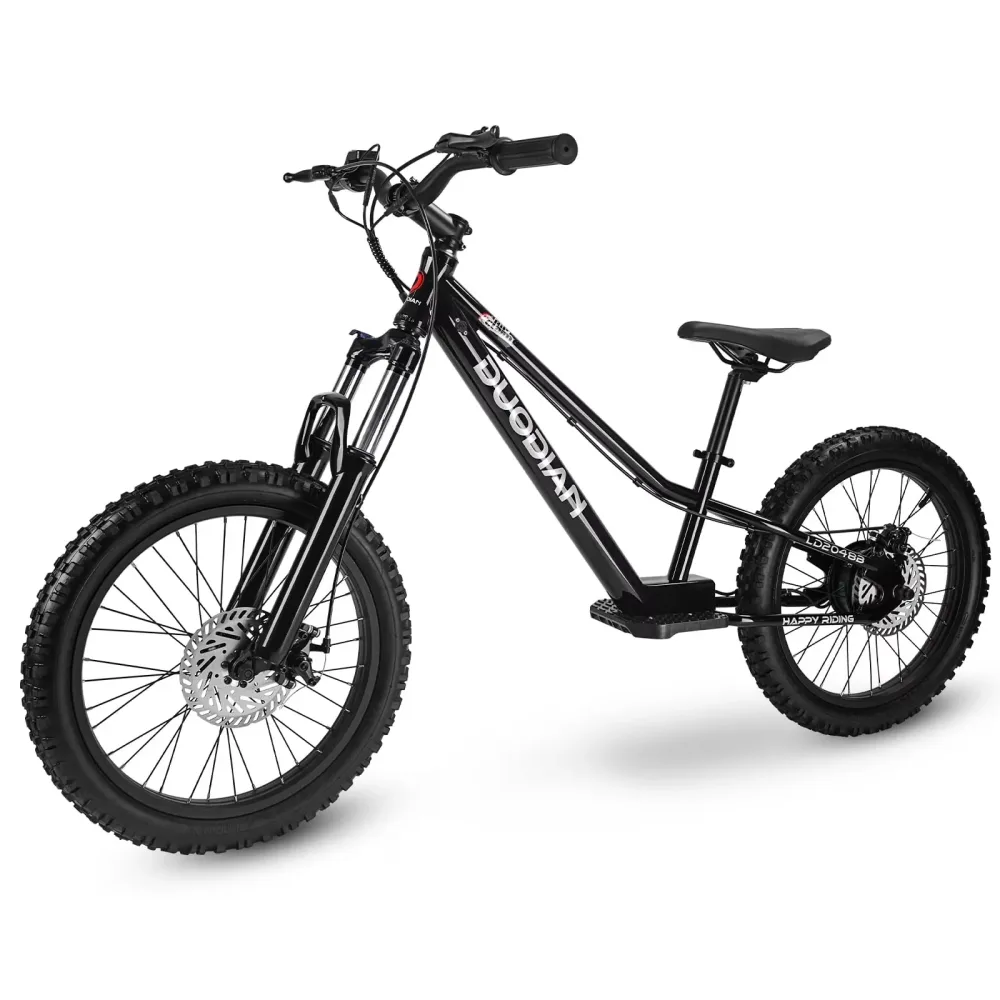 Electric Bike 350w 20" adjustable