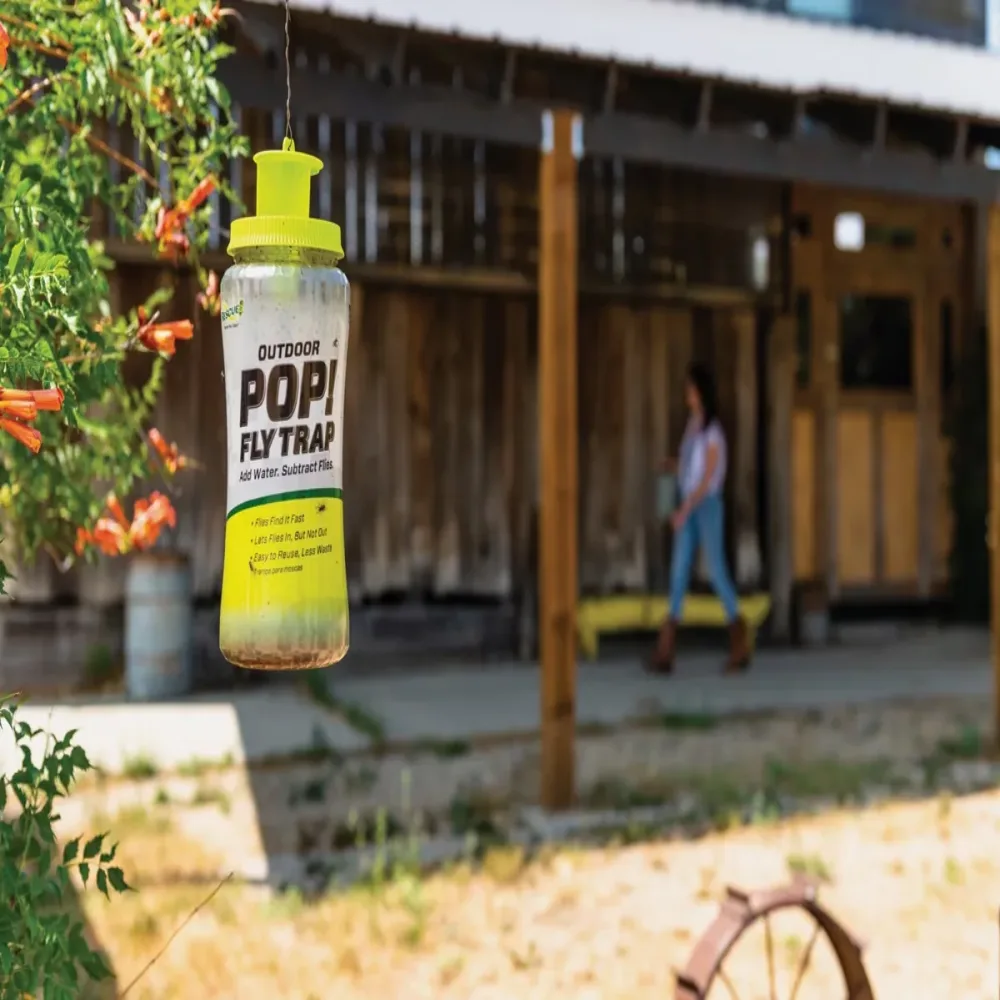 Fly Trap