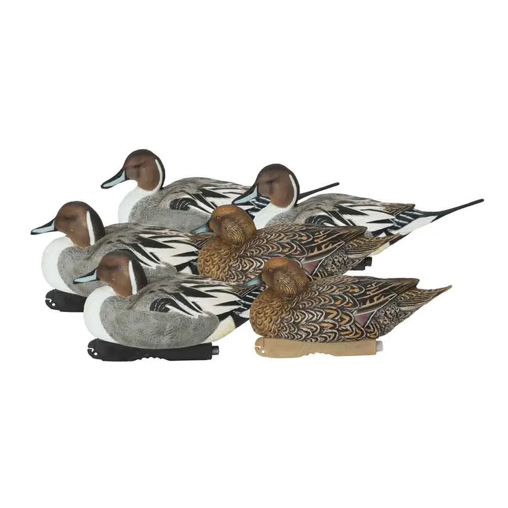 Hunting Gear 6 pack 4" 6.5"