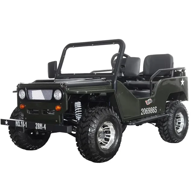 Electric 3000w green 1000w