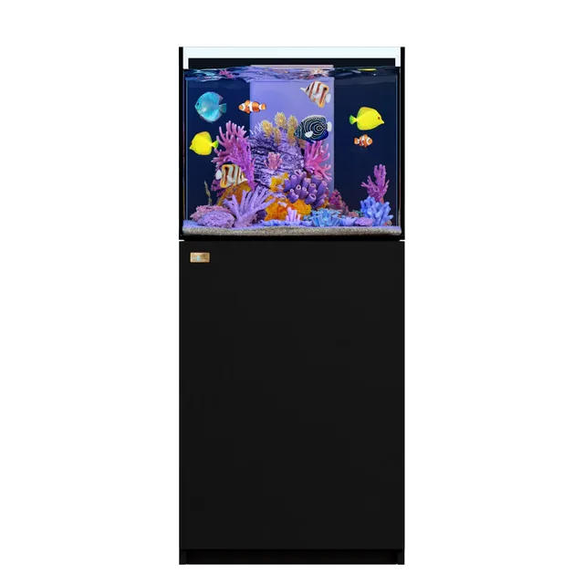 Fish Tank 37 gallon black 24 gallons