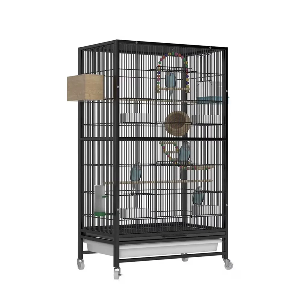 Bird Cage