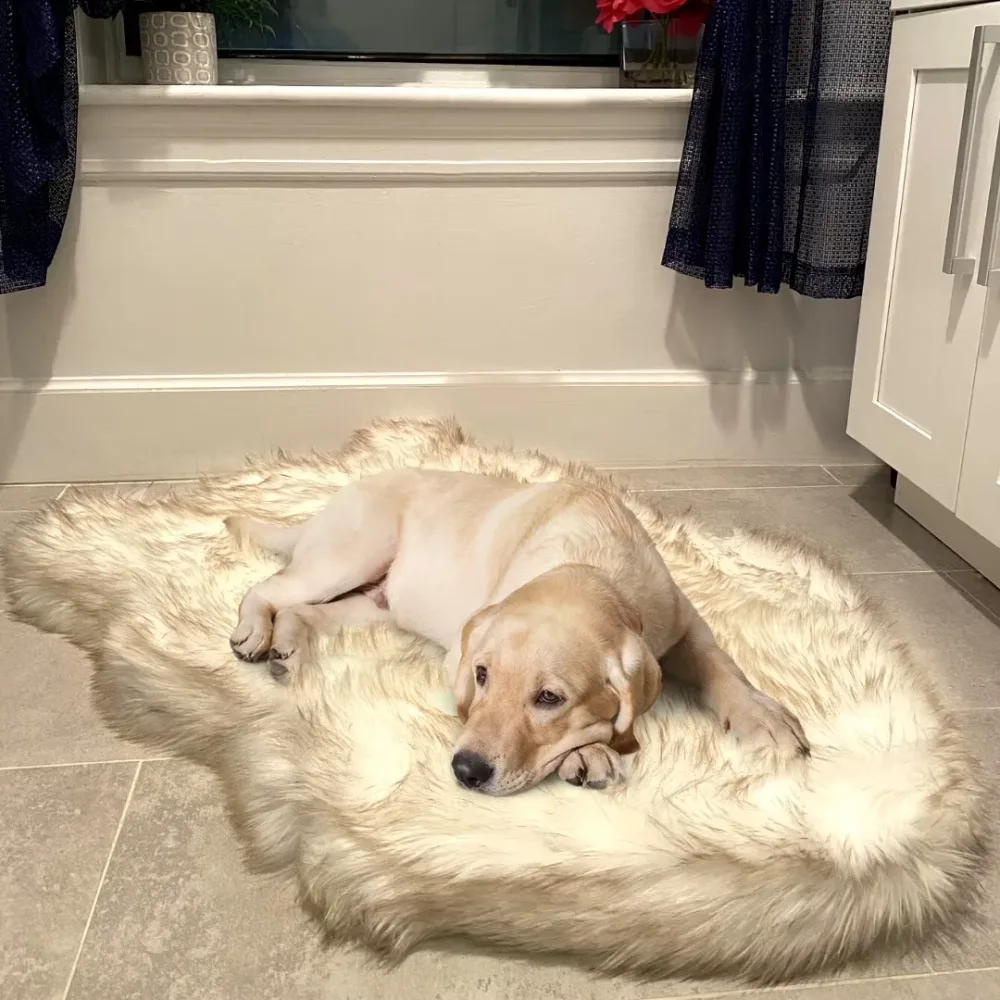 Dog Bed