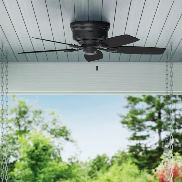 Fan black